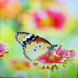 Meet your Posher, Virginia